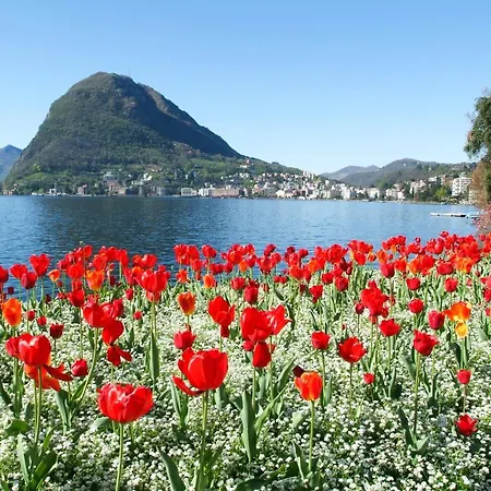 Lägenhet Piccola Grecia 6 Lugano